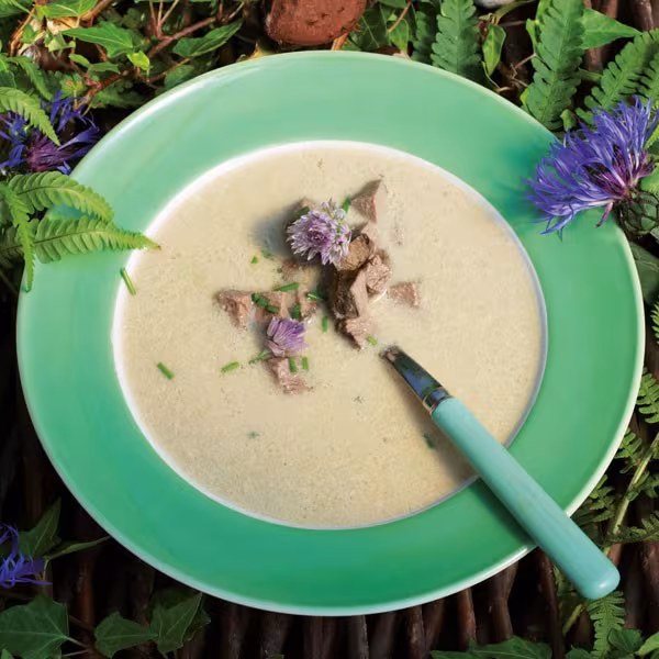Wildrezept: Hirschsuppe nach Forstwirtschaftsmeisterart